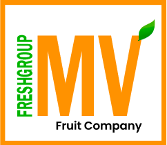 MIR-FRESH-logo-4-e1726829849690