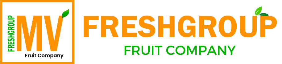 mv-freshgroup-4-e1726829849690